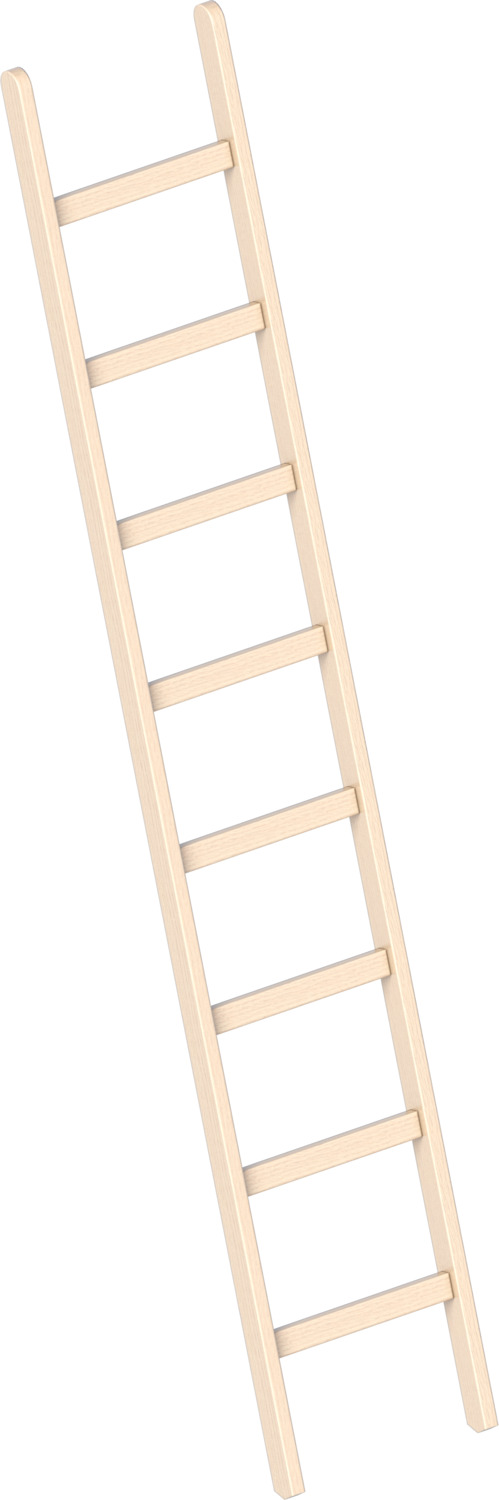 Layher Holzanlegeleiter 1052  