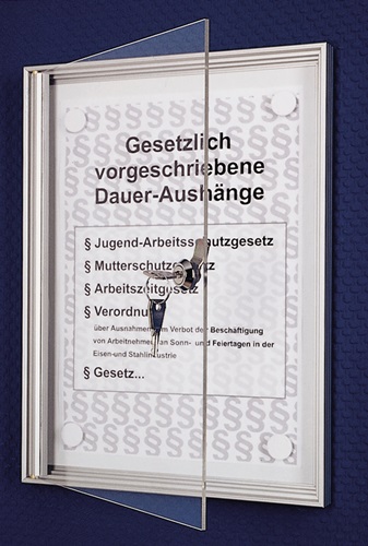Flachschaukasten DIN A4 B260 x H350 mm Ganzglas-Tür für Innenbereich